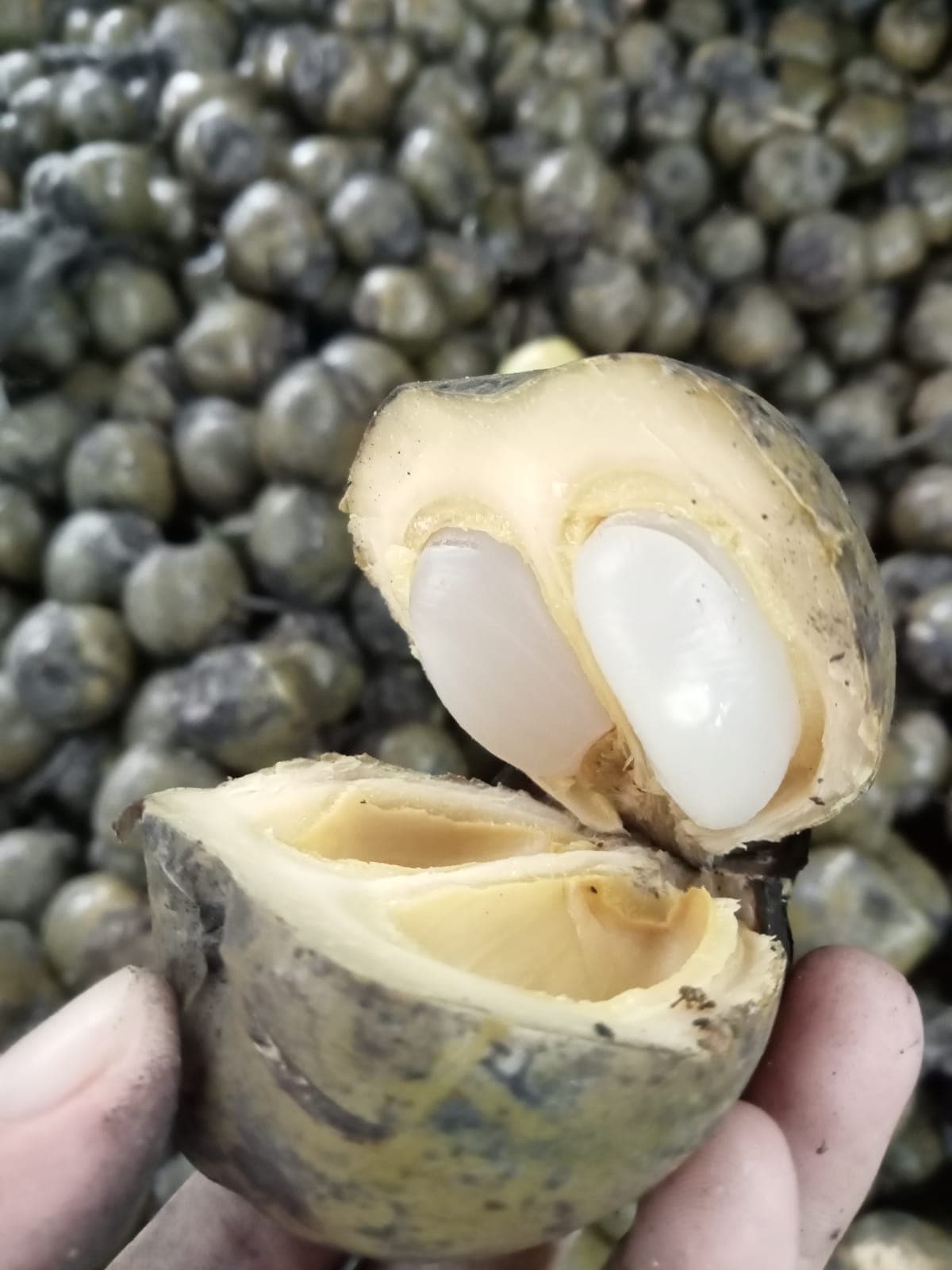 Pengurangan Limbah