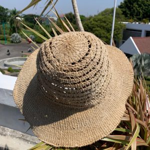 Topi
