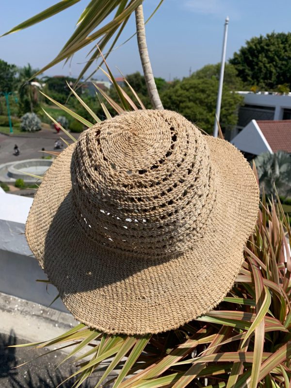 Topi